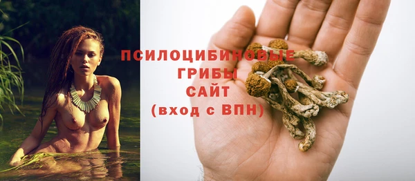 ГАЛЛЮЦИНОГЕННЫЕ ГРИБЫ Россошь