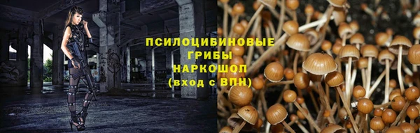 героин Алзамай